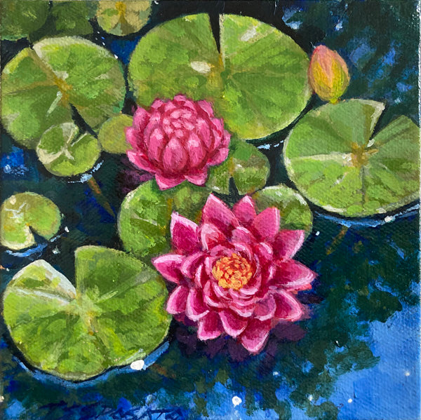 Sebago Lilies - 6”x 6”