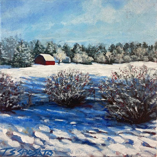 Winter Red - 6"x 6"